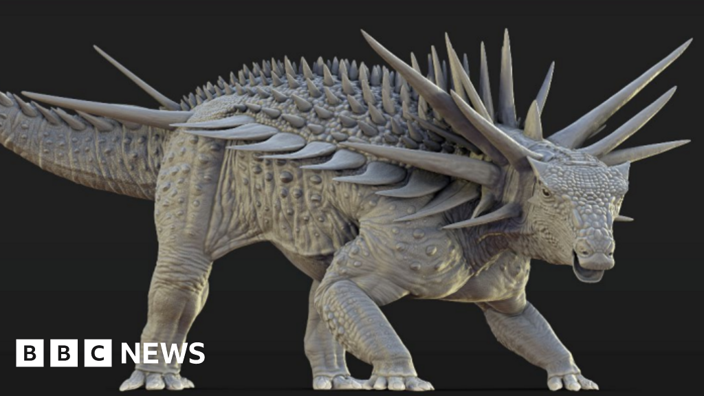 24d03f30-835d-11f0-a34f-318be3fb0481.png