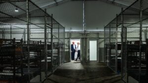 Alligator-Alcatraz-1200x675.jpg