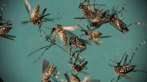 brazil-zika-babies.jpg