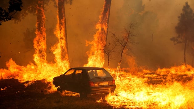 car-burning-amid-a-wildfire-in-meda-portugal.JPG