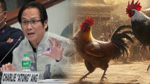 cockfighting-murders-300x169.jpg