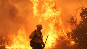firefighter-working-on-canyon-fire-in-halsey-canyon-calif.jpg