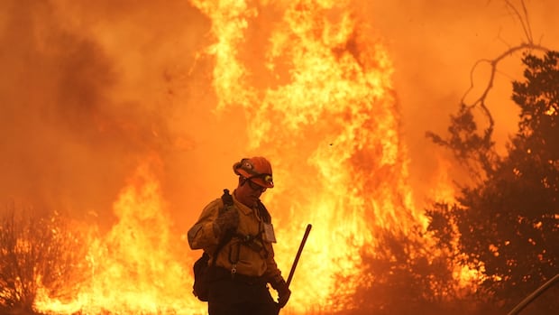 firefighter-working-on-canyon-fire-in-halsey-canyon-calif.jpg