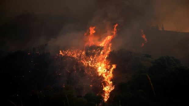 flames-rising-amid-a-wildfire-in-patras-greece.JPG