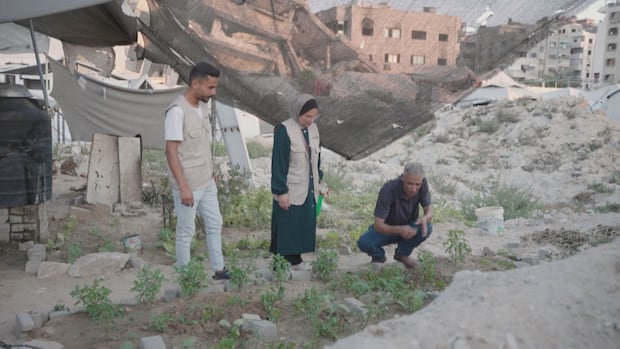 lina-almadhoun-and-nabil-elooh-tend-to-his-garden-in-gaza-city.jpg