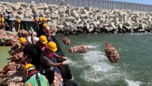 osyster-reef-hong-kong.JPG