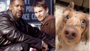 smiley-roger-training-day-dog-1200x675.jpg