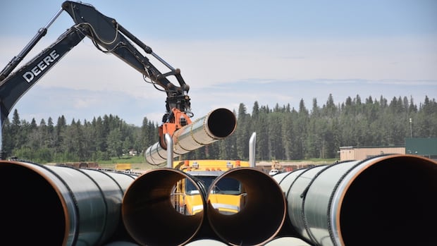 trans-mountain-yard-edson-alta.JPG