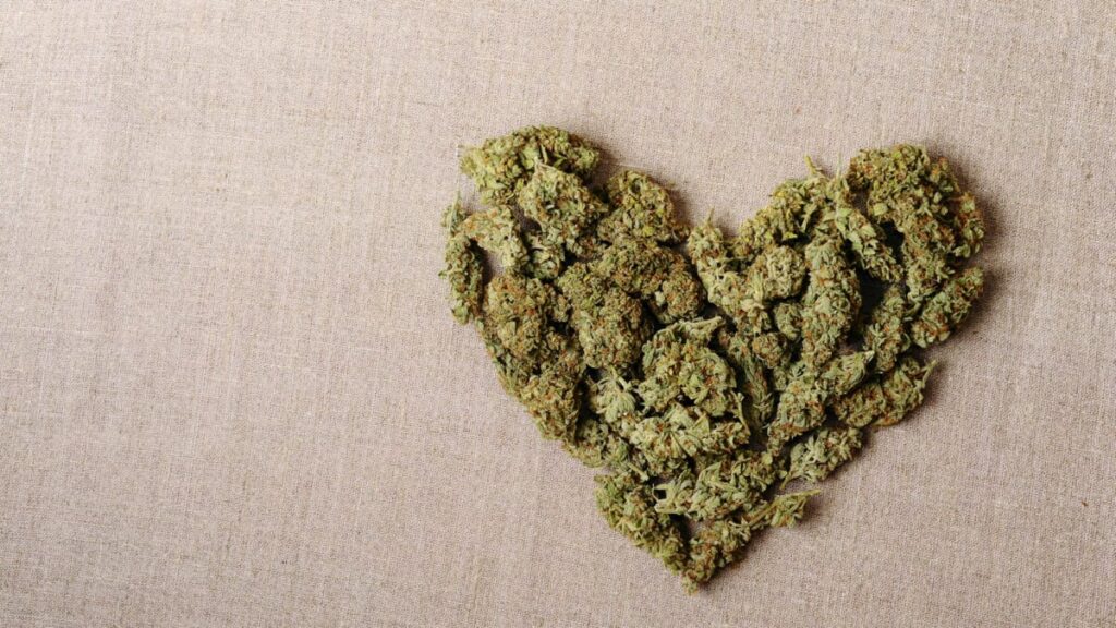 cannabisheart-1200x675.jpg