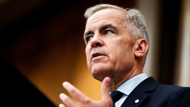 carney-cabinet-20250822.jpg