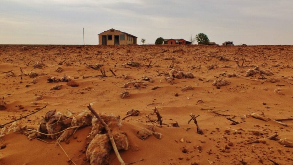 cotton-field-drought-1200x675.jpg