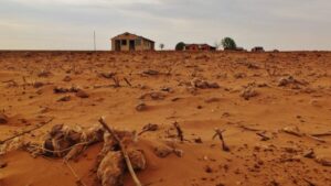 cotton-field-drought-1200x675.jpg