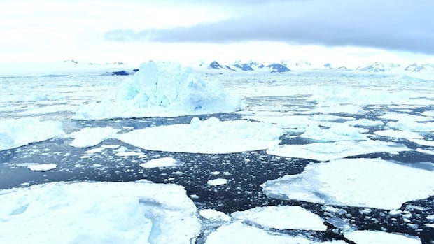 the-northern-larsen-a-ice-shelf-in-antarctica.jpg