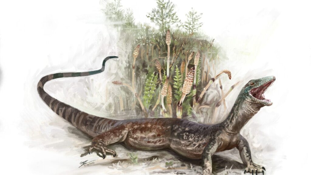 Breugnathair-elgolensis-illustration-e1759340814352-1200x675.jpg