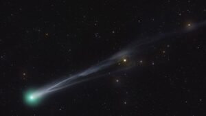 CometLemmon_DeWinter_3549-1200x675.jpg