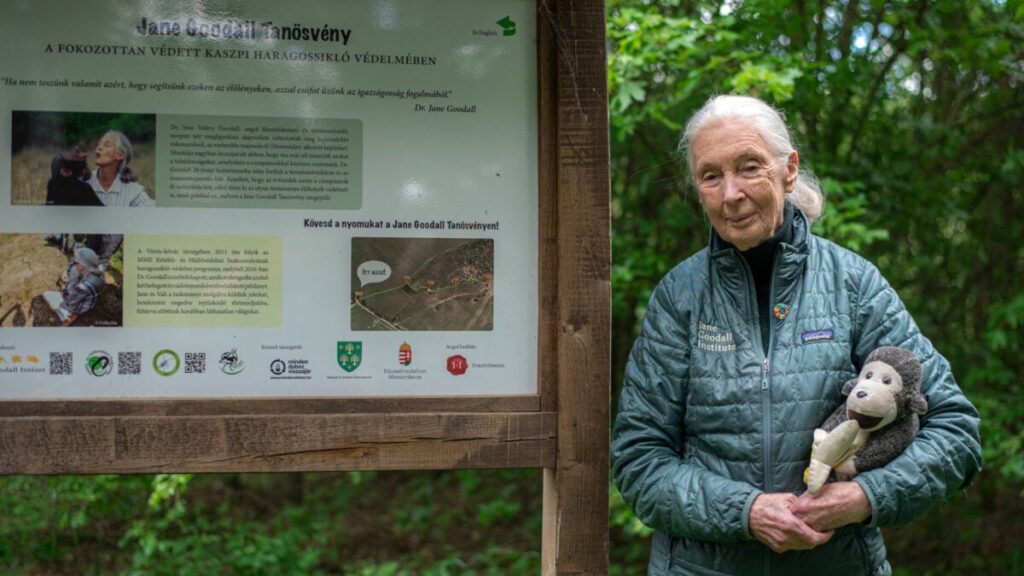Jane-Goodall-1200x675.jpg