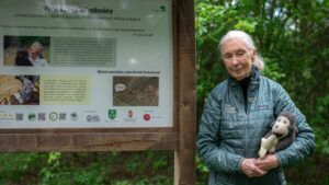 Jane-Goodall-1200x675.jpg