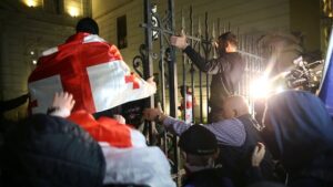 georgia-politics-protests.JPG