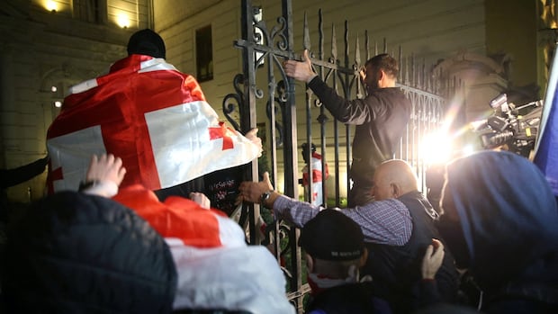 georgia-politics-protests.JPG