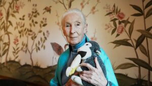 jane-goodall.JPG