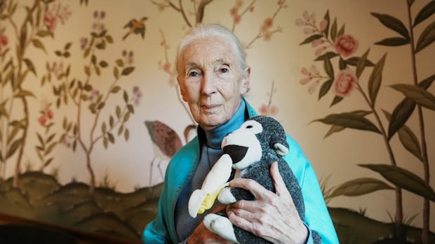 jane-goodall.JPG
